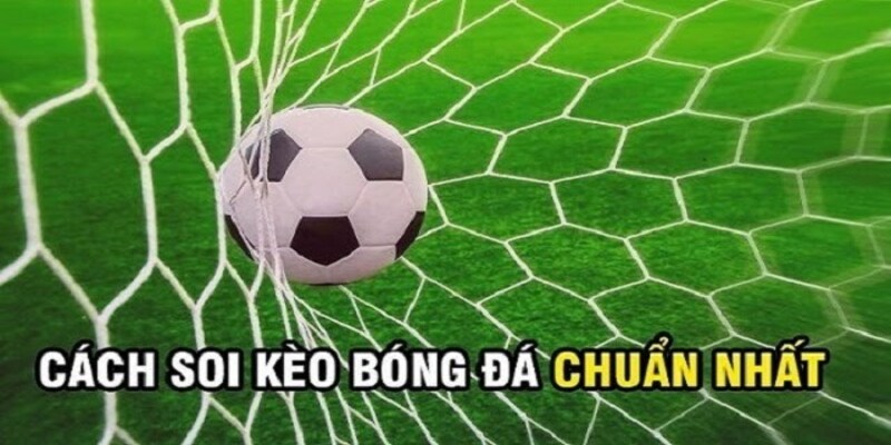 Hướng dẫn cách tham gia dự đoán kèo bóng đá